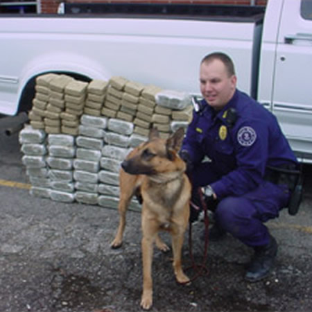 Drug Detection Dog Training